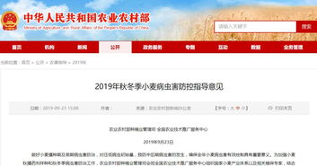 2019年秋冬季小麦主产区重点病虫害防控与推广策略